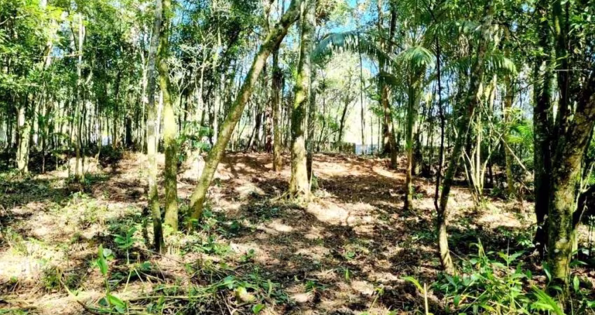 Excelente Viabilidade! Com Nascente.