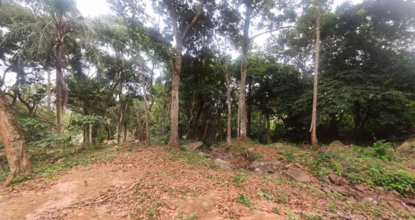 Terreno Comercial/Residencial em Ratones