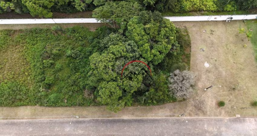 Terreno à venda em Peruíbe/SP