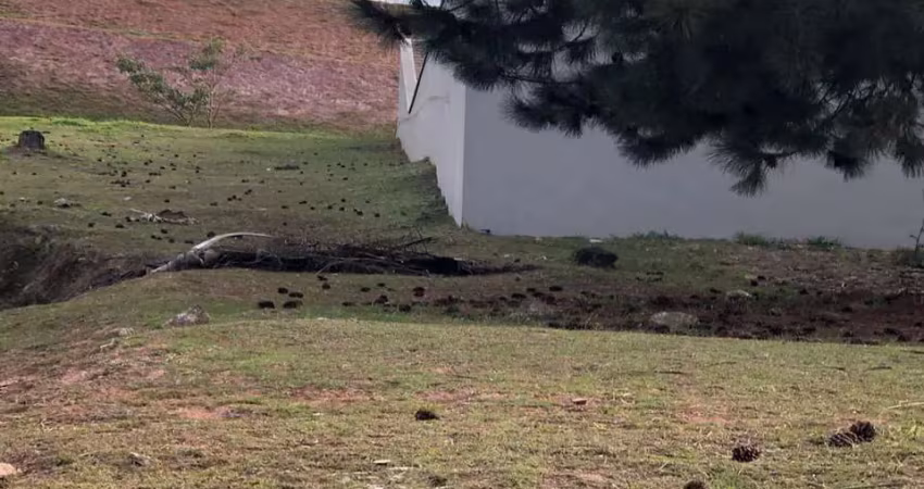 Terreno à venda na Alameda Cabernet, Tamboré, Barueri