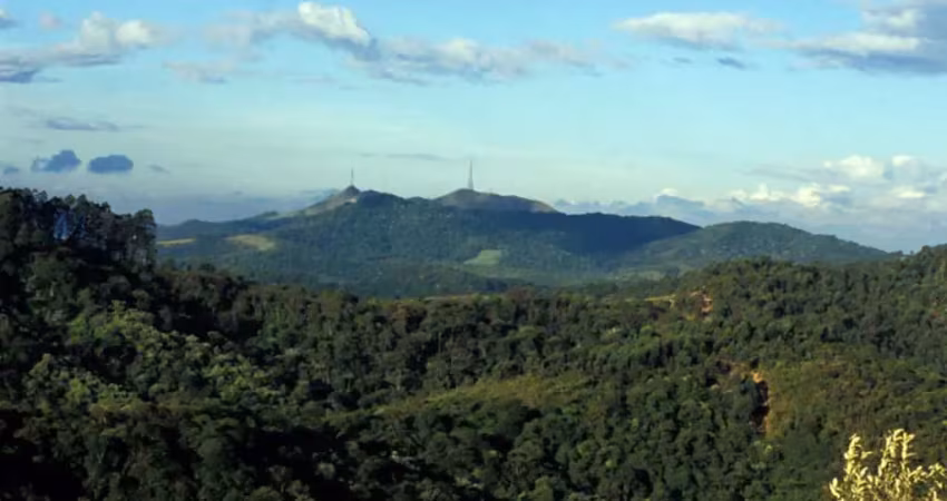 Terreno em condomínio fechado à venda na Avenida Gêmini, Alphaville, Santana de Parnaíba