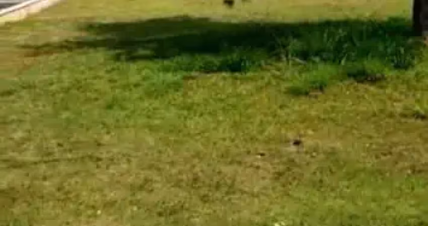 Terreno em condomínio fechado à venda na Alameda Centauro, Alphaville Conde I, Barueri