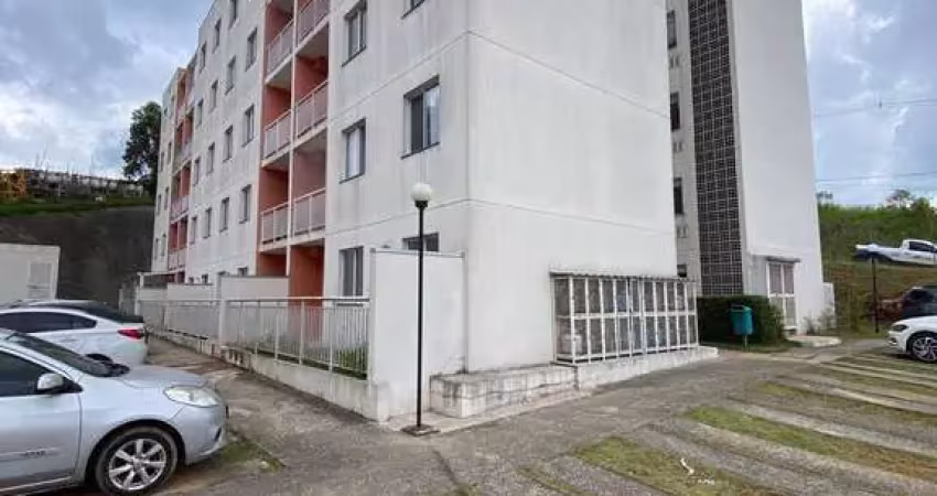 Apartamento com 2 quartos para alugar na Rua Vereador Nelson Joaquim da Silva, Lageado, Cotia
