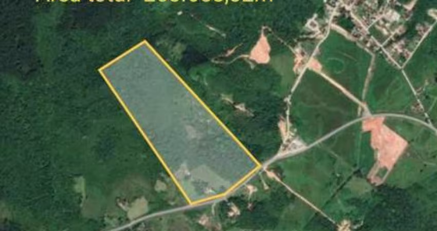 ÁREA RETROPORTUÁRIA DE FRENTE PARA RODOVIA SC-415, A VENDA EM ITAPOÁ-SC