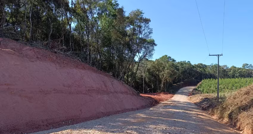 Área rural  20.000 m2 interior de campo largo frente para rodovia
