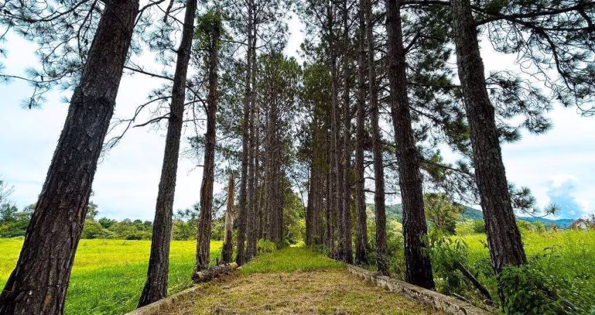 Sítio a venda na Cidade de Vargem - SP