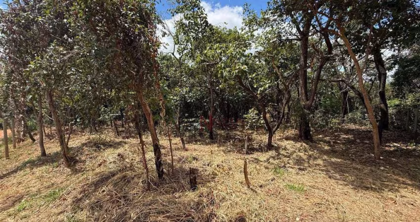Terreno à venda, 1000 m² por R$ 120.000 - Santa Cruz - Mateus Leme/MG