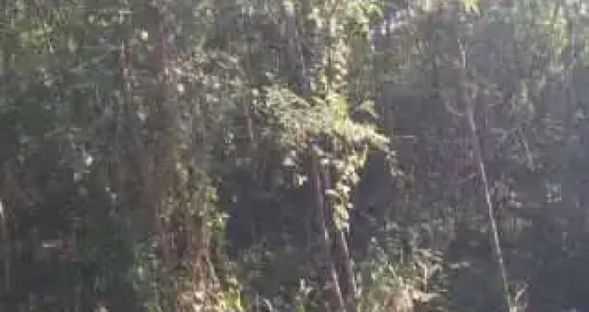 Terreno à venda em Campo Grande, Rio de Janeiro 