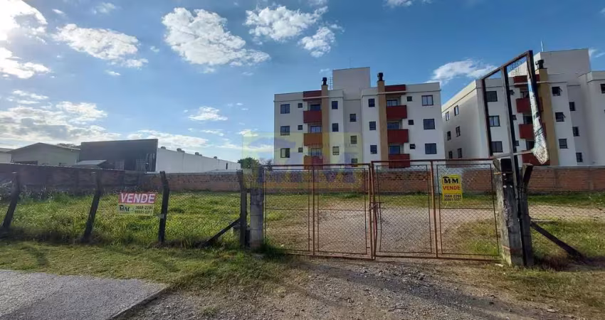 Terreno comercial à venda na Rua Manoel Bandeira, 580, Vargem Grande, Pinhais