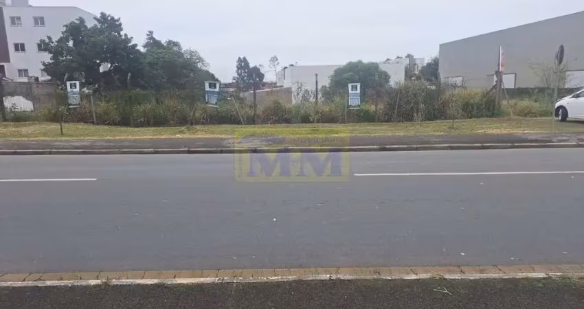 Terreno comercial à venda na Rua Vinte e Quatro de Maio, 220, Centro, Pinhais