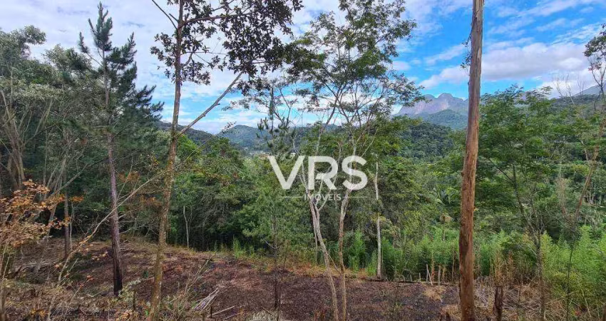 Terreno à venda, 1750 m² por r$ 270.000,00 - albuquerque - teresópolis/rj