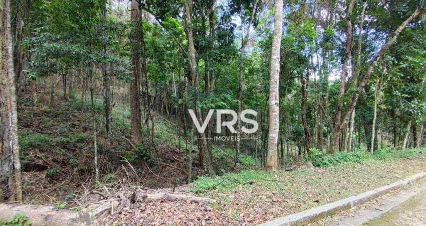 Terreno à venda, 5135 m² por r$ 220.000,00 - albuquerque - teresópolis/rj