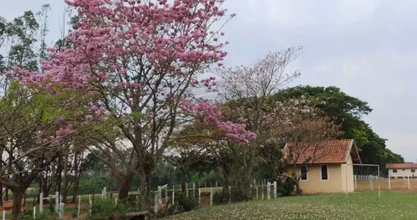Fazenda com 1 sala à venda na Rodovia João Melão, 6, Parque São Jorge, Avaré