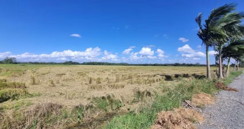 Terreno para alugar, 10000.00 m2 por R$22000.00  - Morro Do Meio - Joinville/SC