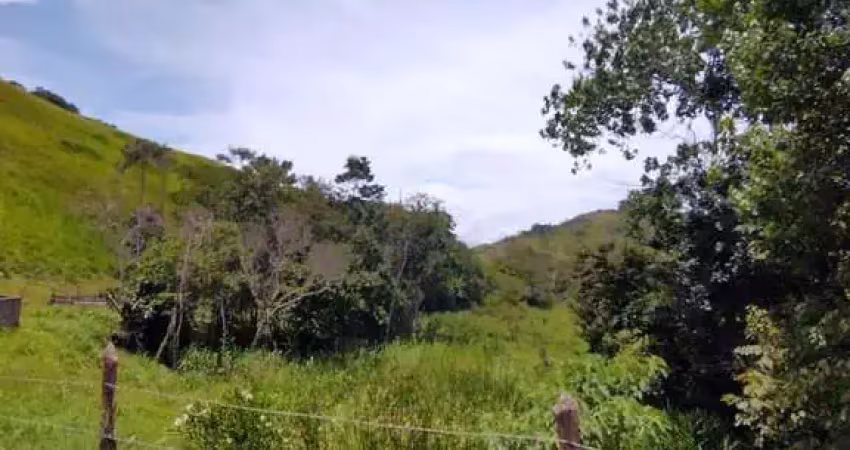 Chácara / sítio à venda na Área Rural de Juiz de Fora, Juiz de Fora 