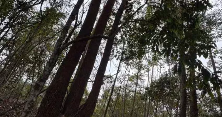 Fazenda de eucalipto juiz de fora - mg - santa bárbara do monte verde