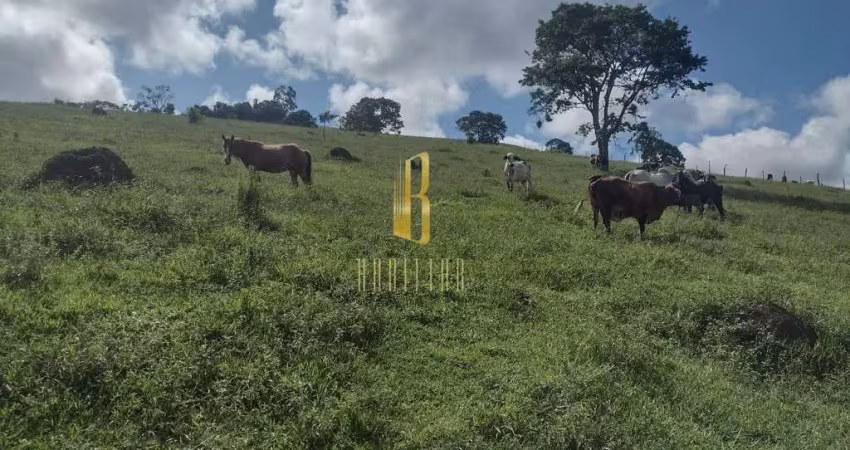 Fazenda com 2 salas à venda no Penido, Juiz de Fora 