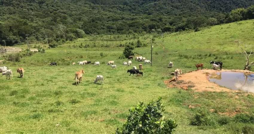 Terreno para Locação em Atibaia, Parque Rio abaixo