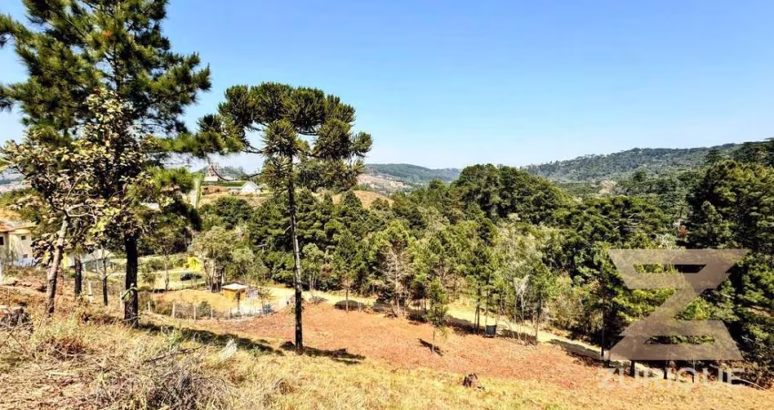 Terreno à venda, 1172 m² por R$ 270.000,00 - Vale Encantado - Campos do Jordão/SP