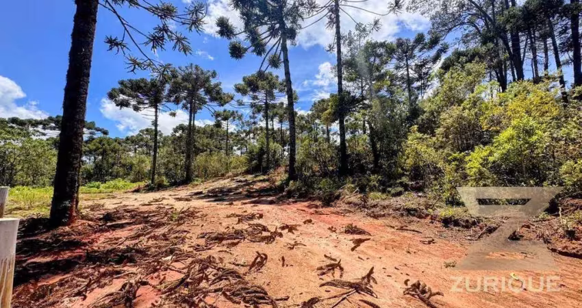Terreno à venda, 1500 m² por r$ 500.000,00 - alto da boa vista - campos do jordão/sp