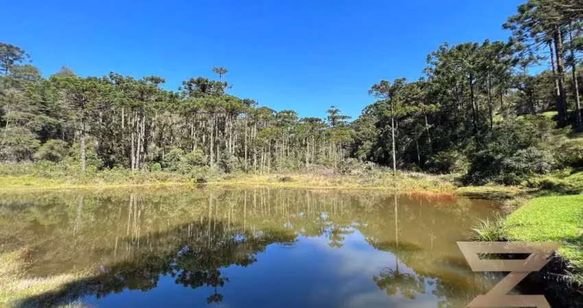 Terreno à venda, 2040 m² por r$ 980.000,00 - horto florestal - campos do jordão/sp