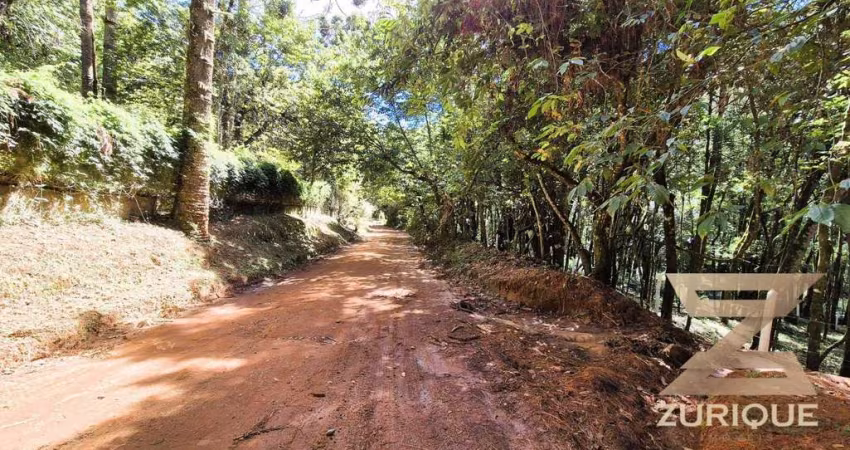 Terreno à venda, 1000 m² por R$ 220.000 - Vila Natal - Campos do Jordão/SP