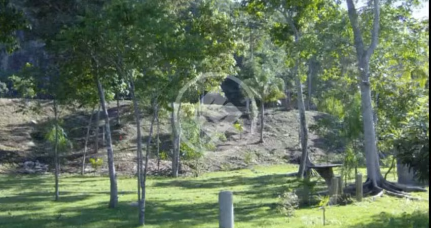 Terreno são josé com viabilidade para construção codigo: 124094