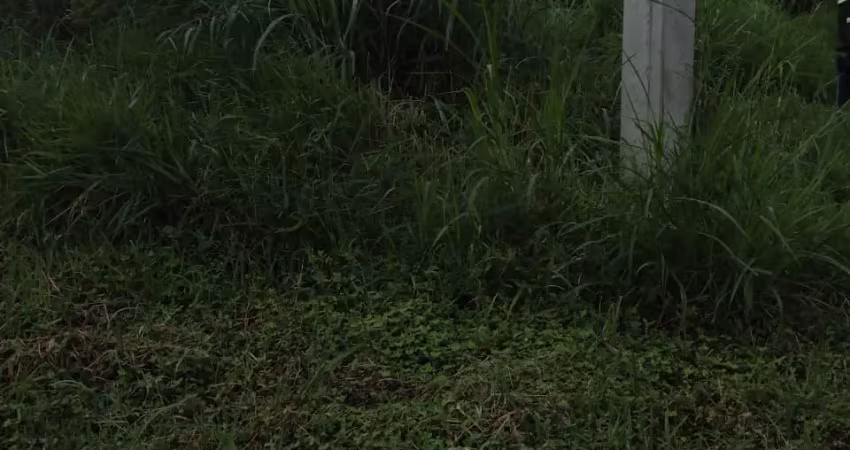 Lote a venda com area de  448m  em frente a rodovia indio tibiriça