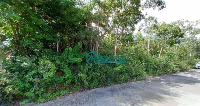Terreno à venda, 1000 m² por r$ 300.000,00 - vale dos sonhos - lagoa santa/mg