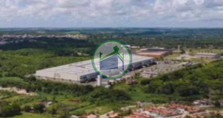Galpões novos para Alugar de 1.229m² a 19.664m²