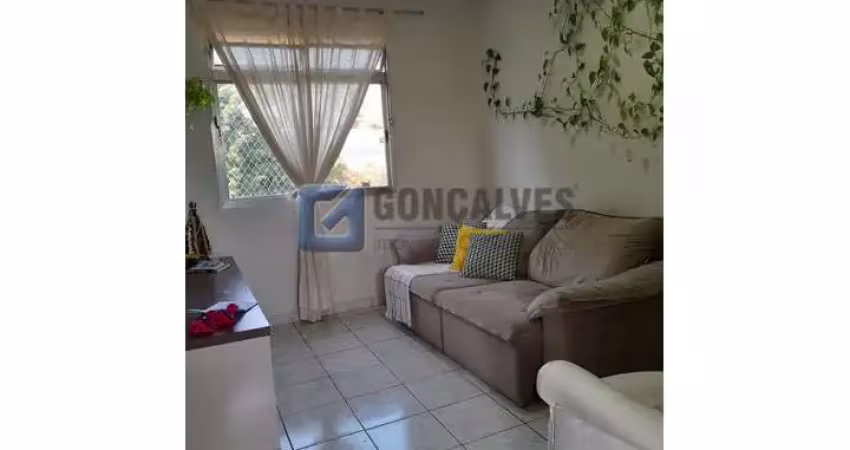 Apartamento com 02 dormitorios, 55m² no jardim são caetano, em são caetano do sul
