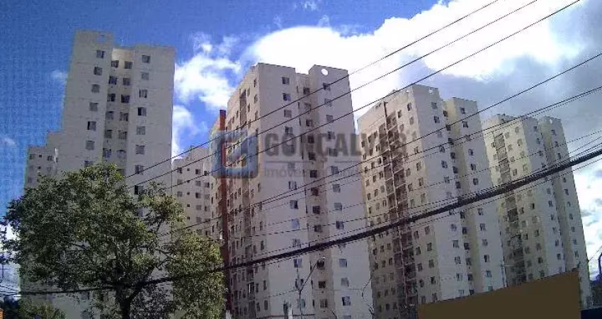 Apartamento com 2 quartos para alugar na GIOVANNI BATTISTA PIRELLI, R, Vila Homero Thon, Santo André