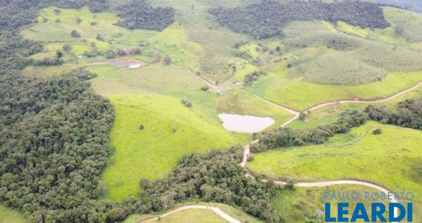 FAZENDA - ZONA RURAL - MG