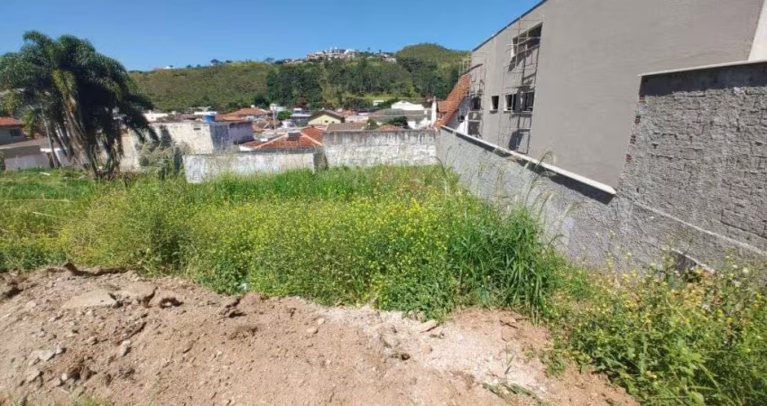 TERRENO - SÃO DOMINGOS - MG