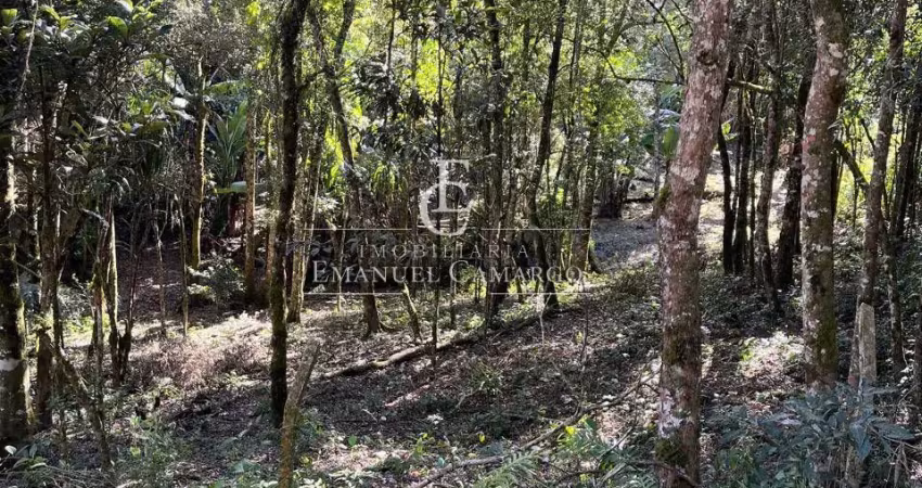Terreno à venda na Maria Gulda Berwanger, Santa Helena 3, Piraquara