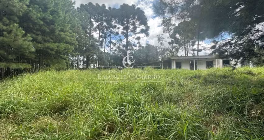 Área a venda em Piraquara-PR