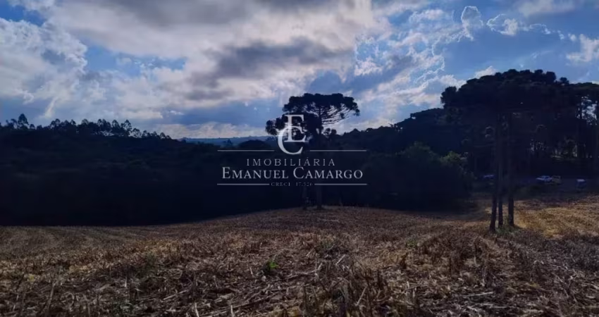 Chácara  a venda em Quatro Barras