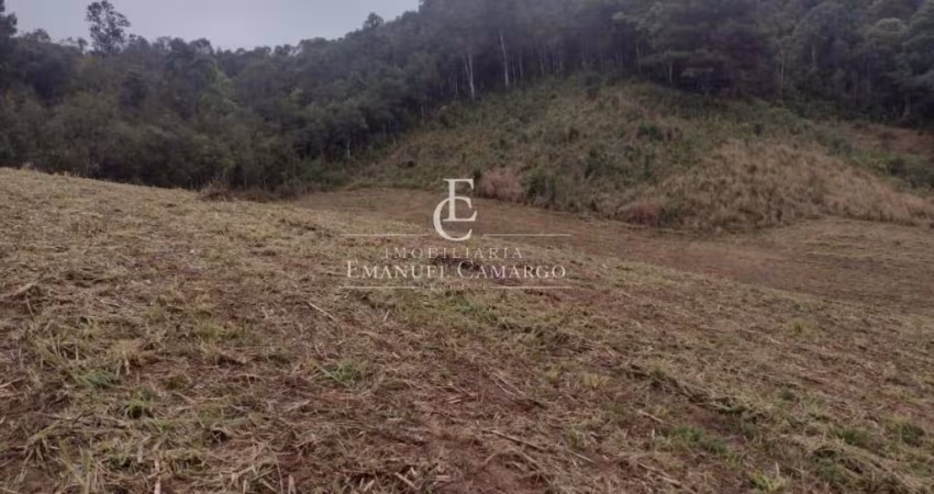´Area rural a venda em Quatro Barras-PR