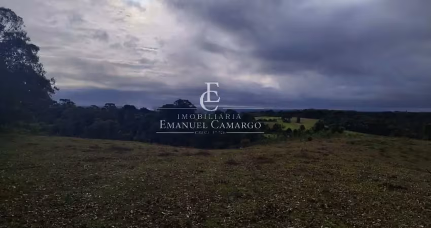 Chácara / sítio à venda na Rua Antônio Brudeck, Roça Nova, Piraquara