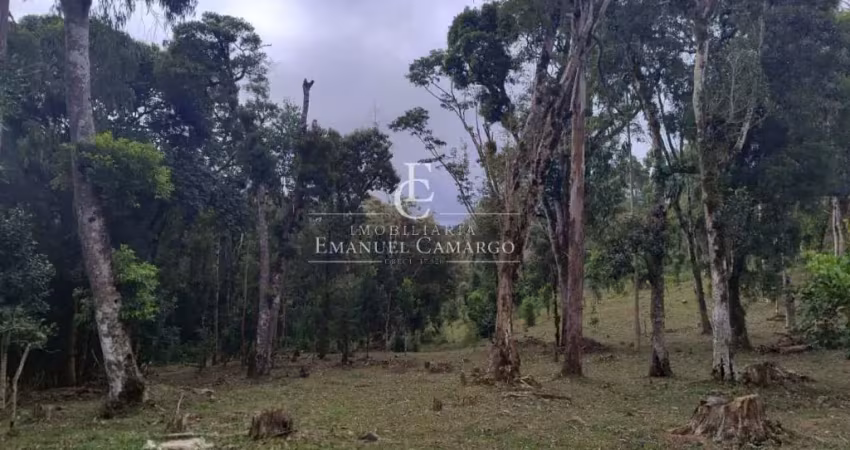 Chácara / sítio à venda na Rua Antônio Brudeck, Roça Nova, Piraquara