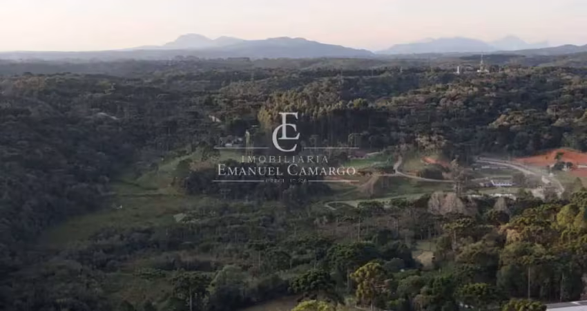 Chácara / sítio à venda na Estrada do Pinheiro Seco, Borda do Campo de São Sebastião, São José dos Pinhais
