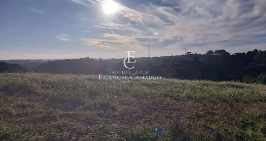 Terreno à venda na Rua Augusto Micrute, Borda do Campo, São José dos Pinhais