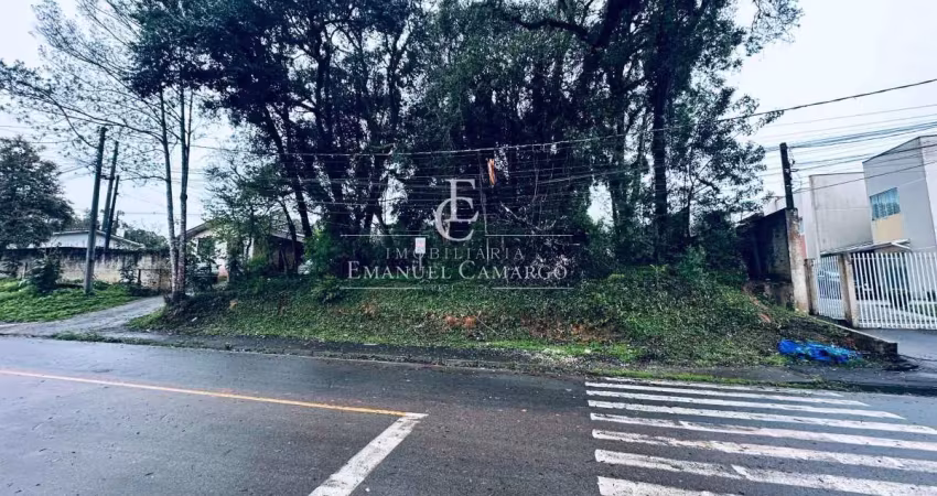 Terreno à venda na Rua Joan Elln Nowel, Vila Rosa, Piraquara