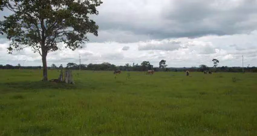 Área à venda para loteamento residencial, 196000 m² por r$ 74.500.000 - granja viana - cotia/sp