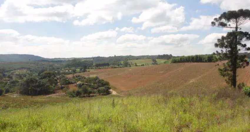 Área à venda, 78382 m² por r$ 7.840.000,00 - terras de são felipe (caucaia do alto) - cotia/sp