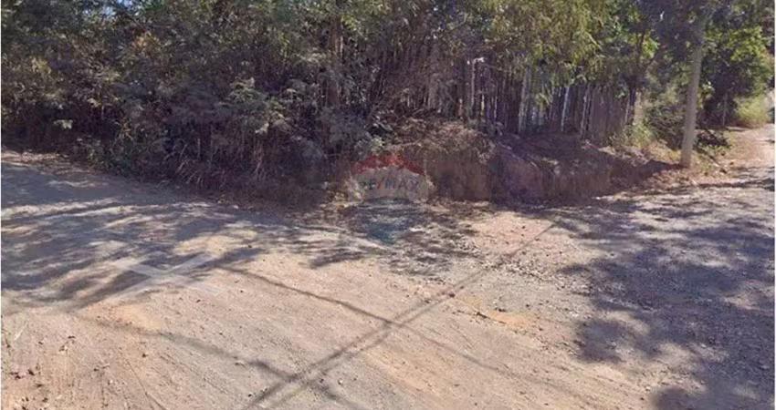 Chácara / sítio à venda na Rua Eugenio Matias, 292, Itapavussu, Cosmópolis