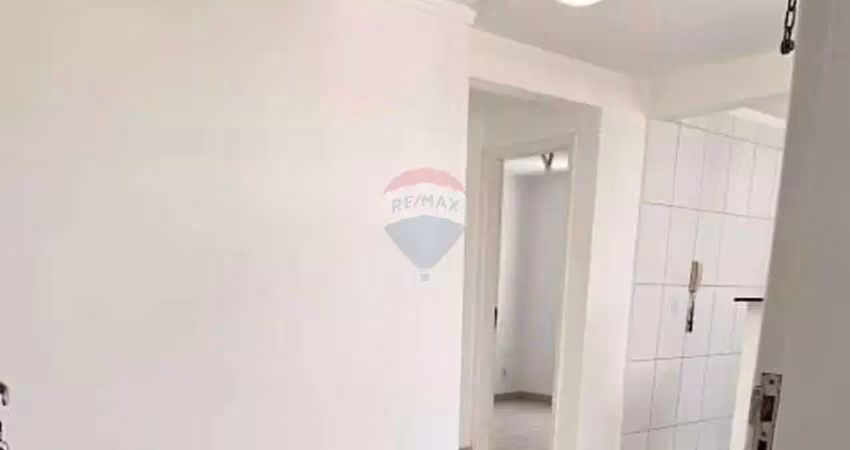 Apartamento com 2 quartos para alugar na Avenida Brasília, 1760, Vila Monte Alegre, Paulínia