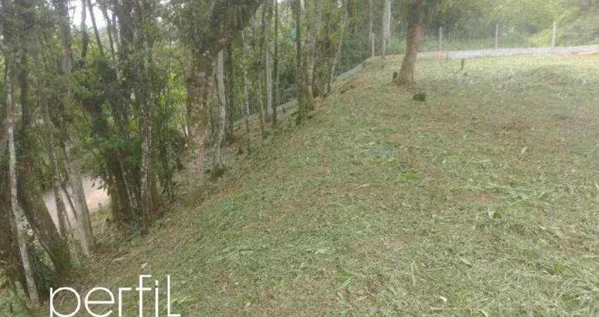 Terreno à venda em joinville-sc, bairro vila nova - 2.915,66 m² de área!