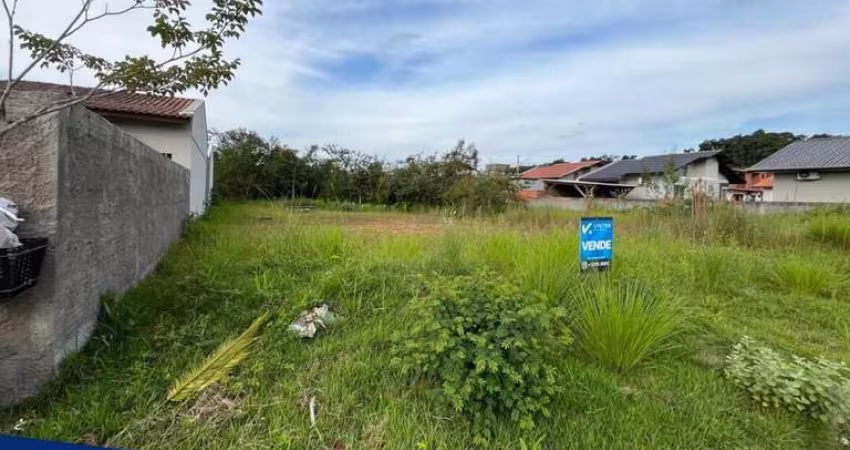Terreno à venda no bairro Arapongas - Indaial/SC