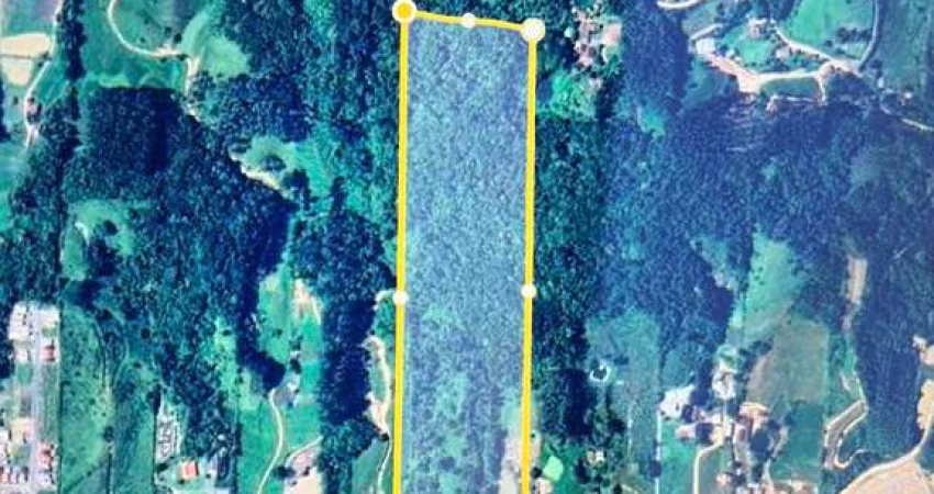 Terreno para Loteamento